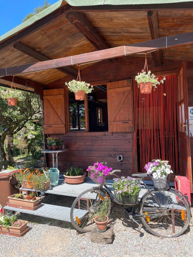 Hotel Agricamping Le Terrazze Orco Feglino Exteriér fotografie
