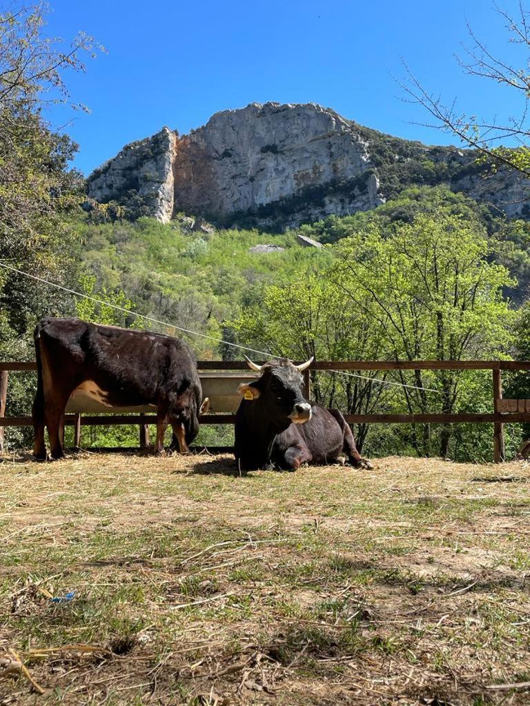 Hotel Agricamping Le Terrazze Orco Feglino Exteriér fotografie